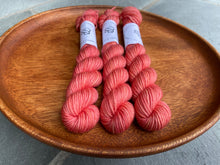 Load image into Gallery viewer, Coates & Co. - Studio DK Minis