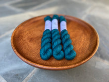 Load image into Gallery viewer, Coates & Co. - Prairie Sock Minis