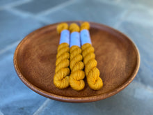 Load image into Gallery viewer, Coates & Co. - Prairie Sock Minis