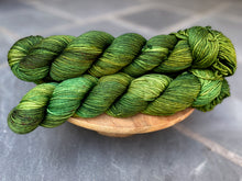 Load image into Gallery viewer, LITLG - DK Twist Variegated