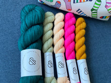 Load image into Gallery viewer, Socks For Sam - Prairie Sock Kit