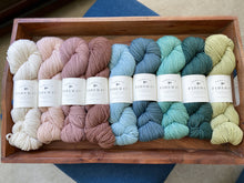 Load image into Gallery viewer, CFC - Organic Merino Worsted