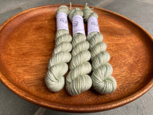 Load image into Gallery viewer, Coates & Co. - Studio DK Minis