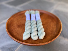 Load image into Gallery viewer, Coates & Co. - Prairie Sock Minis