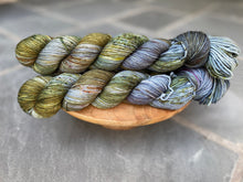 Load image into Gallery viewer, LITLG - DK Twist Variegated