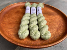 Load image into Gallery viewer, Coates & Co. - Studio DK Minis