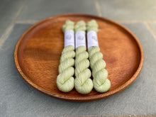 Load image into Gallery viewer, Coates & Co. - Prairie Sock Minis