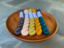 Load image into Gallery viewer, Coates & Co. - Prairie Sock Mini Skein Sets