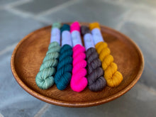 Load image into Gallery viewer, Coates & Co. - Prairie Sock Mini Skein Sets