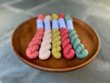 Load image into Gallery viewer, Coates & Co. - Prairie Sock Mini Skein Sets