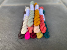 Load image into Gallery viewer, Coates & Co. - Prairie Sock Minis