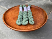 Load image into Gallery viewer, Coates & Co. - Prairie Sock Minis