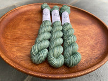 Load image into Gallery viewer, Coates & Co. - Studio DK Minis