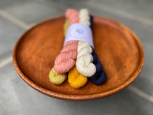 Load image into Gallery viewer, Coates & Co. - Cottage Sock Mini Skein Sets