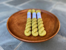 Load image into Gallery viewer, Coates & Co. - Prairie Sock Minis