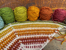 Load image into Gallery viewer, Shawl Together Now - The Fibre Co. Rainbow Kit