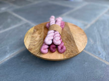 Load image into Gallery viewer, The Wool Barn - Twist Sock Minis