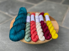 Load image into Gallery viewer, Coates &amp; Co. - Studio DK Colorwork Kits
