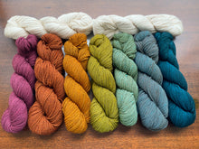 Load image into Gallery viewer, The Fibre Co. - Acadia Colorwork Kits
