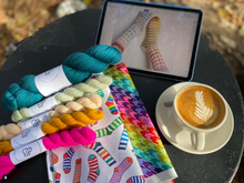 Load image into Gallery viewer, Socks For Sam - Prairie Sock Kit
